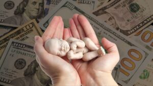L'Australia offre fino a 20.000 dollari per abortire bambini oltre le 20 settimane